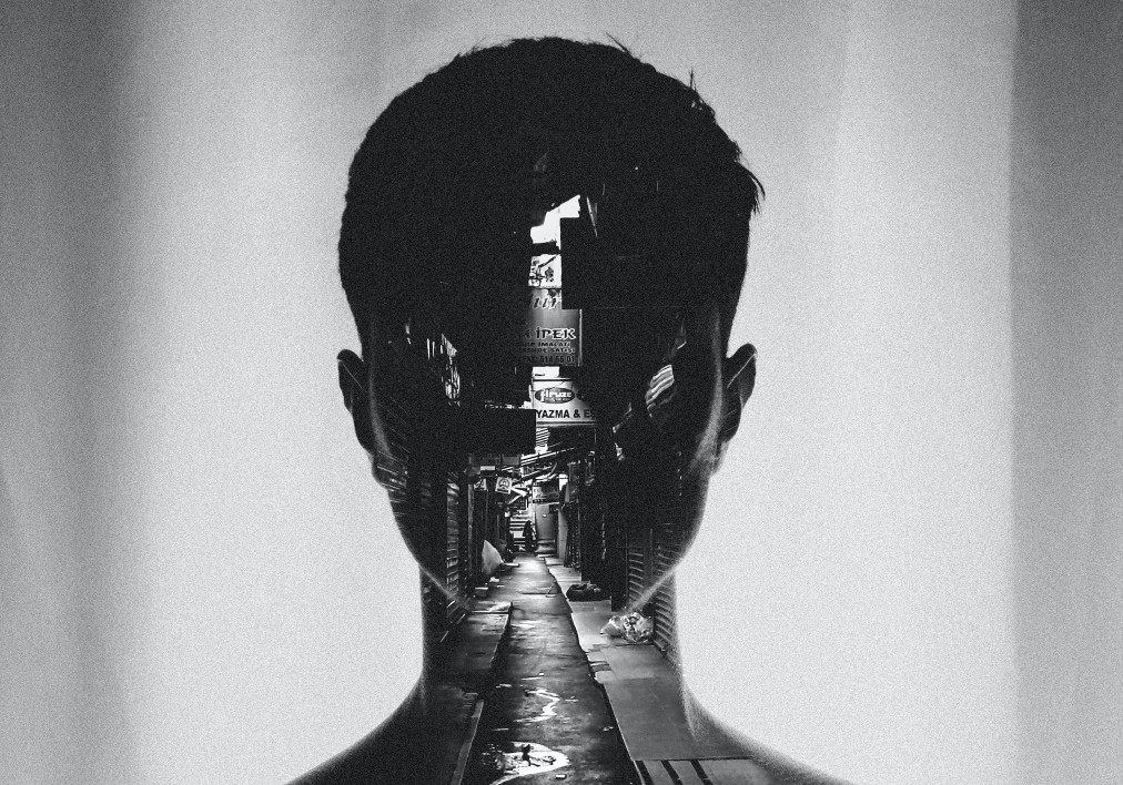 Double Exposure Art Style art style example